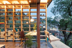imagen-6