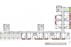 P4-Parcela D (Plantas2)