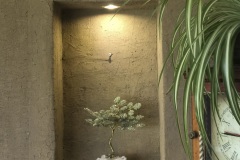 imagen-4