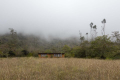 imagen-6