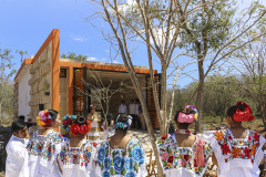 imagen-3
