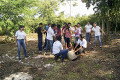 imagen-7
