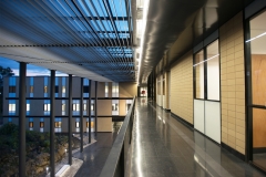 Edificio para la Licenciatura en Ciencia Forense. UNAM.002