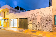 imagen-11