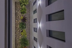 imagen-11