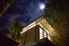 imagen-11