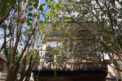 imagen-4