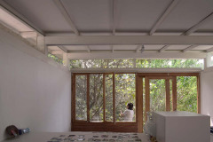 imagen-7