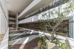 5f6e05f4b9b0709._JARDIN_HOSPITALIZACION__DAVID_CERVERA_CASTRO