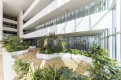 5f6e05fb78abc11._JARDIN_INTERIOR__DAVID_CERVERA_CASTRO