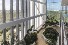 5f6e05fd3d68412._JARDIN_PONIENTE__DAVID_CERVERA_CASTRO