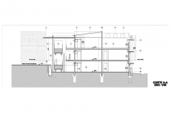 CORTE a edificio centenario-Model_001