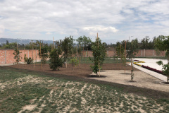 imagen-11