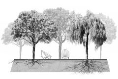 plano-3