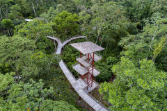 imagen-9