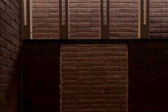 imagen-11