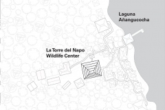 Implantación