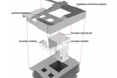 plano-7