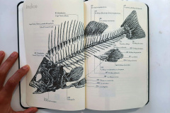 5f762d9b31f74INDICE_Los_dibujos_diferentes_experencias_7