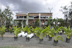 imagen-1