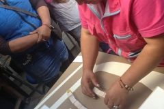 57d9ea46d8910IMG_2588