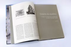 imagen-3