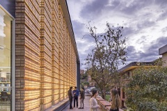 imagen-2