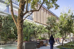 imagen-3