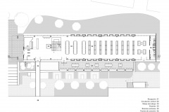 plano-6