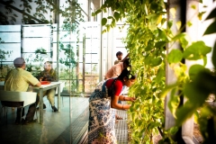 OFICINAS KMC 002