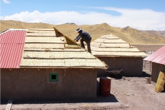 PACOMICHIXKANCHA VIVIENDA PROTOTIPO 015
