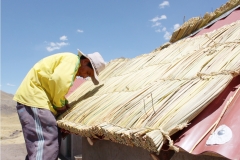 PACOMICHIXKANCHA VIVIENDA PROTOTIPO 016