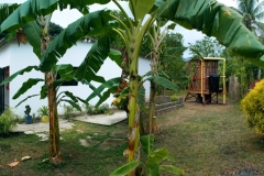 BanoBasilia05