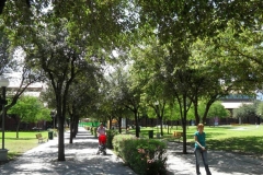 PARQUE FUNDIDORA 007