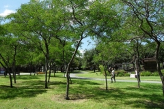 PARQUE FUNDIDORA 008