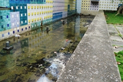 F6-parque GFM (antes)