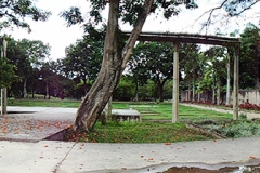 F7-parque GFM (antes)