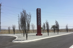 EG_PIQ (4)878