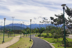 imagen-6