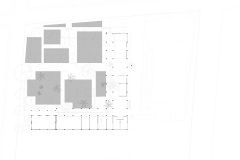 Planta higueron_SP