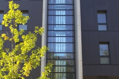 PENTANIA 003