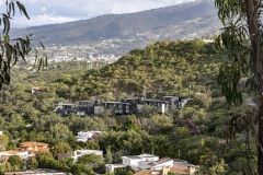 imagen-12