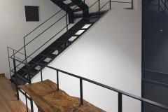imagen-6