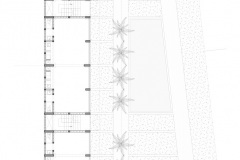 plano-8