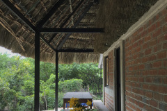 imagen-6