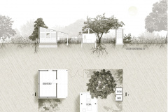 plano-3