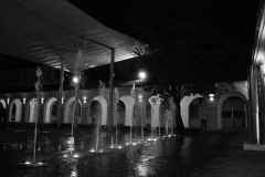 DSC_0366