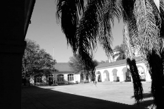P1000826