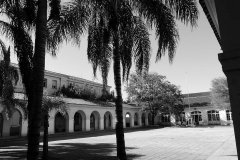 P1000828