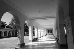 P1000829